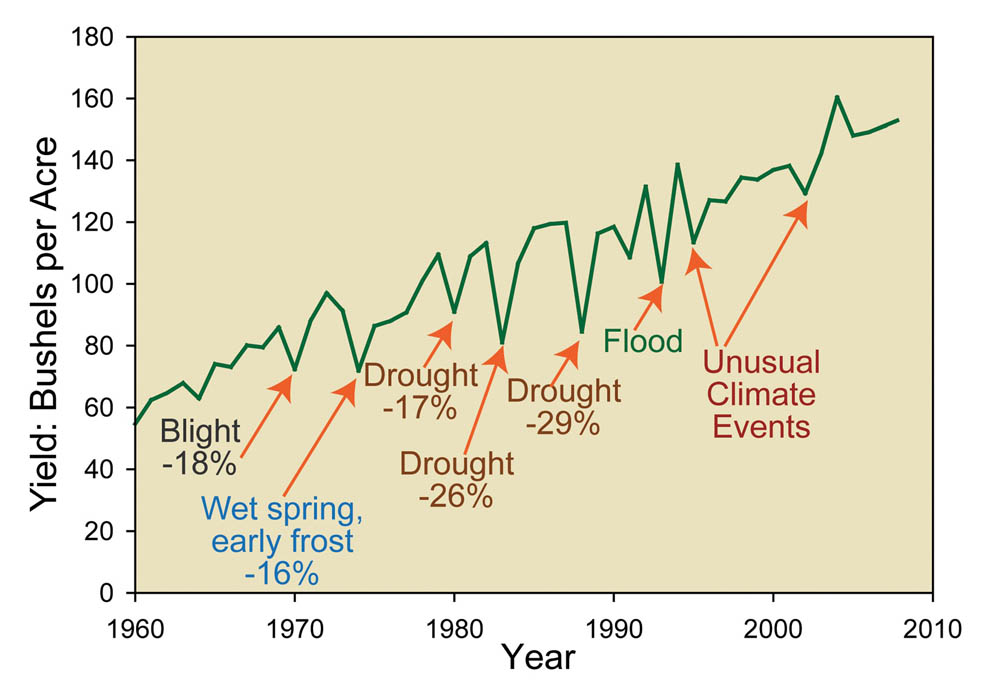 CORN YIELDS thru 2008