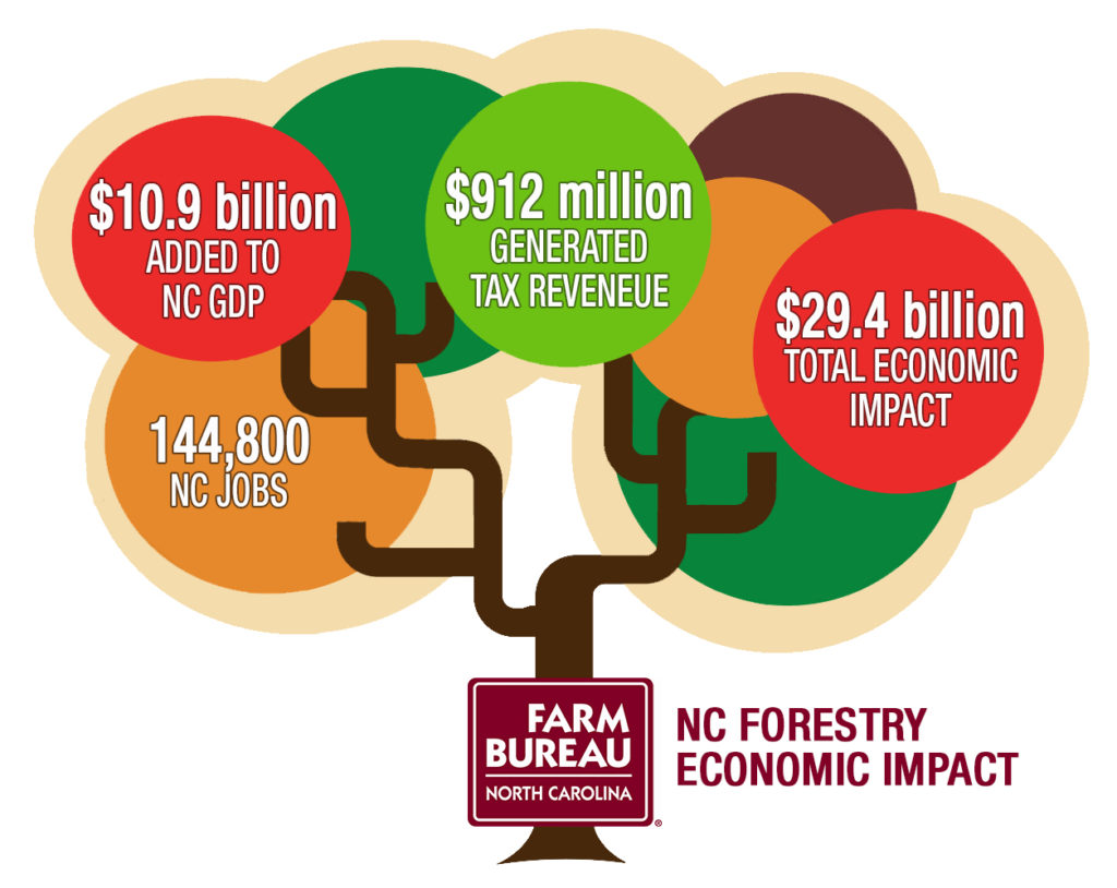 Five Things to Know about North Carolina Forestry First Furrow