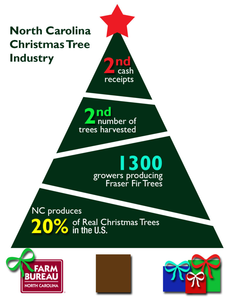 Industry Spotlight NC Christmas Trees! First Furrow